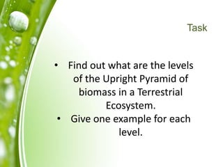 Task
• Find out what are the levels
of the Upright Pyramid of
biomass in a Terrestrial
Ecosystem.
• Give one example for each
level.
 
