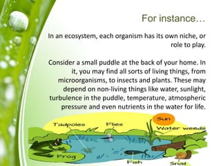 For instance…
In an ecosystem, each organism has its own niche, or
role to play.
Consider a small puddle at the back of your home. In
it, you may find all sorts of living things, from
microorganisms, to insects and plants. These may
depend on non-living things like water, sunlight,
turbulence in the puddle, temperature, atmospheric
pressure and even nutrients in the water for life.
 