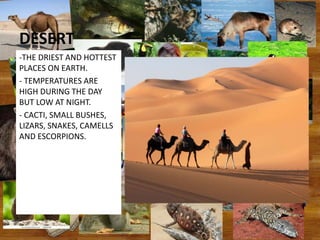 DESERT
-THE DRIEST AND HOTTEST
PLACES ON EARTH.
- TEMPERATURES ARE
HIGH DURING THE DAY
BUT LOW AT NIGHT.
- CACTI, SMALL BUSHES,
LIZARS, SNAKES, CAMELLS
AND ESCORPIONS.
 