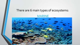 There are 6 main types of ecosystems:
MARINE
 