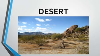 DESERT
 