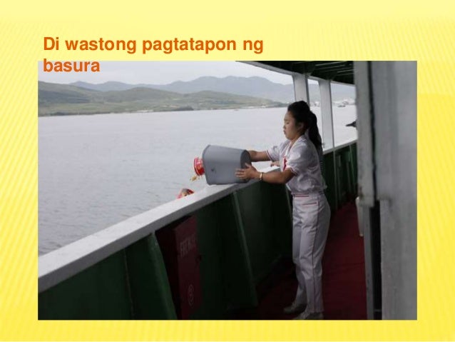 Ang Bunga ng Kapinsalaan sa kapaligiran