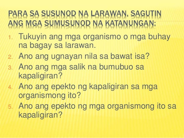ano ang kalikasan Ang kalikasan,itoy ating alagaan mahalin at pagyamanin dahil kapag mawala ito paano na tayo, san tayokukuha nang pagkain,maiinum na tubig,diba la. ano ang kalikasan Ang kalikasan,itoy ating alagaan mahalin at pagyamanin dahil kapag mawala ito paano na tayo, san tayokukuha nang pagkain,maiinum na tubig,diba la.