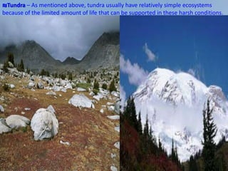 ₪Tundra – As mentioned above, tundra usually have relatively simple ecosystems
because of the limited amount of life that can be supported in these harsh conditions.
 