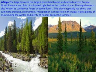 ₪Taiga-The taiga biome is the largest terrestrial biome and extends across Europe,
North America, and Asia. It is located right below the tundra biome. The taiga biome is
also known as coniferous forest or boreal forest. This biome typically has short, wet
summers and long, cold winters. Precipitation is moderate in the taiga. It gets plenty of
snow during the winter and plenty of rainfall during the summer.
 