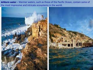 ₪Warm water – Warmer waters, such as those of the Pacific Ocean, contain some of
the most impressive and intricate ecosystems in the world.
 