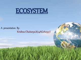 ECOSYSTEM
A presentation By-
Krishna Chaitanya.b(14AG1A0557)
 