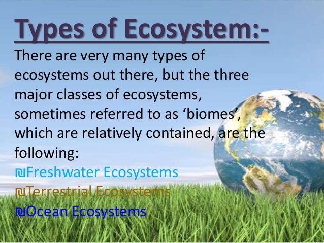 terrestrial ecosystem - definition, types, examples -... Types Of Terrestrial Ecosystem Ecosystem