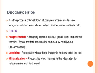 DECOMPOSITION
 It is the process of breakdown of complex organic matter into
inorganic substances such as carbon dioxide, water, nutrients, etc.
 STEPS
 Fragmentation − Breaking down of detritus (dead plant and animal
remains, faecal matter) into smaller particles by detritivores
(decomposers)
 Leaching - Process by which these inorganic matters enter the soil
 Mineralization − Process by which humus further degrades to
release minerals into the soil
 