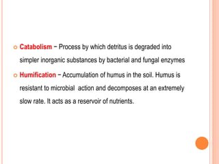  Catabolism − Process by which detritus is degraded into
simpler inorganic substances by bacterial and fungal enzymes
 Humification − Accumulation of humus in the soil. Humus is
resistant to microbial action and decomposes at an extremely
slow rate. It acts as a reservoir of nutrients.
 