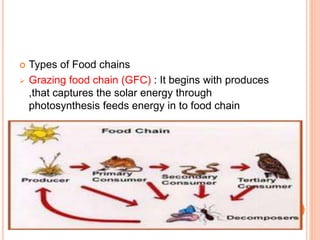  Types of Food chains
 Grazing food chain (GFC) : It begins with produces
,that captures the solar energy through
photosynthesis feeds energy in to food chain
 