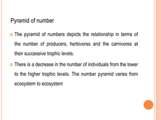 Pyramid of number
 The pyramid of numbers depicts the relationship in terms of
the number of producers, herbivores and the carnivores at
their successive trophic levels.
 There is a decrease in the number of individuals from the lower
to the higher trophic levels. The number pyramid varies from
ecosystem to ecosystem
 