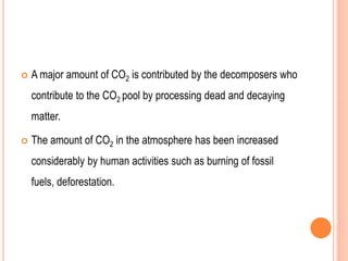  A major amount of CO2 is contributed by the decomposers who
contribute to the CO2 pool by processing dead and decaying
matter.
 The amount of CO2 in the atmosphere has been increased
considerably by human activities such as burning of fossil
fuels, deforestation.
 