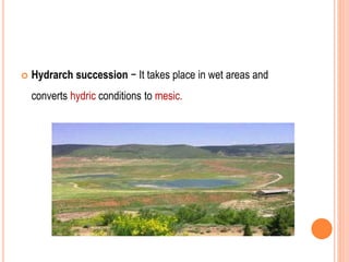  Hydrarch succession − It takes place in wet areas and
converts hydric conditions to mesic.
 
