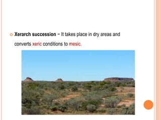 Xerarch succession − It takes place in dry areas and
converts xeric conditions to mesic.
 