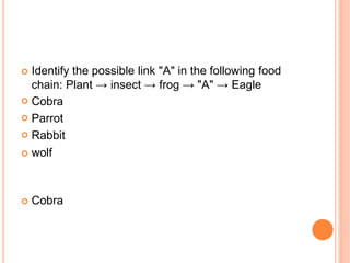  Identify the possible link "A" in the following food
chain: Plant → insect → frog → "A" → Eagle
 Cobra
 Parrot
 Rabbit
 wolf
 Cobra
 
