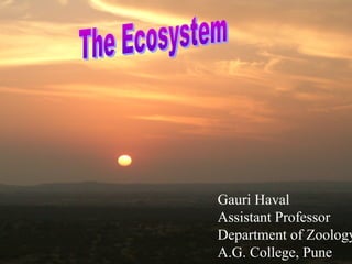 Gauri Haval
Assistant Professor
Department of Zoology
A.G. College, Pune
 
