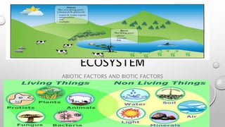 ECOSYSTEM
ABIOTIC FACTORS AND BIOTIC FACTORS