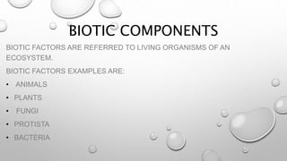 BIOTIC COMPONENTS
BIOTIC FACTORS ARE REFERRED TO LIVING ORGANISMS OF AN
ECOSYSTEM.
BIOTIC FACTORS EXAMPLES ARE:
• ANIMALS
• PLANTS
• FUNGI
• PROTISTA
• BACTERIA