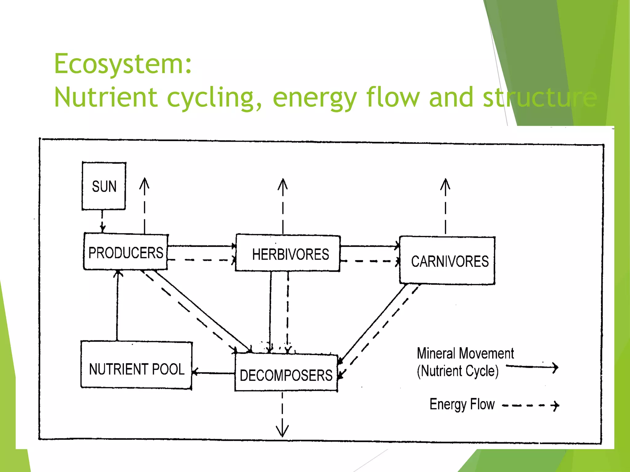 Ecosystem:
Nutrient cycling, energy flow and structure
 