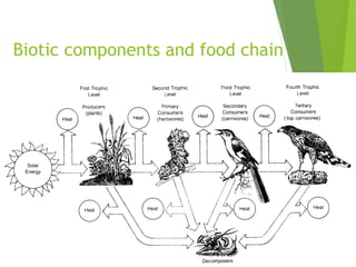Biotic components and food chain
 