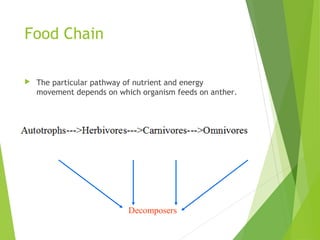 Food Chain
 The particular pathway of nutrient and energy
movement depends on which organism feeds on anther.
Decomposers
 