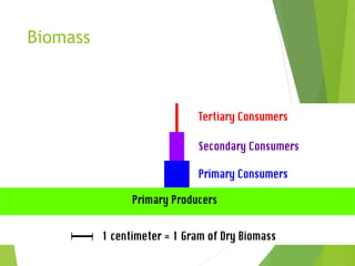 Biomass
 