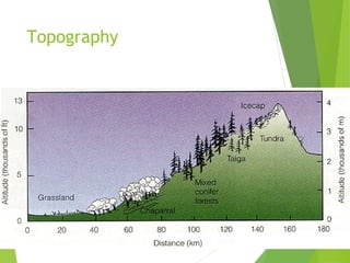 Topography
 