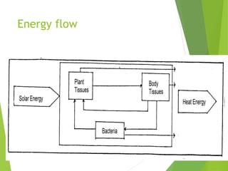 Energy flow
 