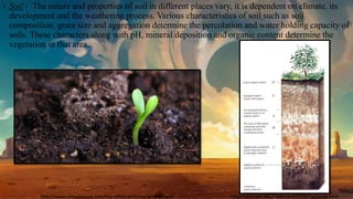 › Soil - The nature and properties of soil in different places vary, it is dependent on climate, its
development and the weathering process. Various characteristics of soil such as soil
composition, grain size and aggregation determine the percolation and water holding capacity of
soils. These characters along with pH, mineral deposition and organic content determine the
vegetation in that area.
http://spot.pcc.edu/~kleonard/G202/Lecture4.htmlhttp://www.cnhumicacid.com/the-effect-of-humic-acid-on-soil/
 