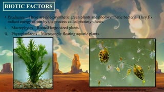• Producers – These are photosynthetic green plants and photosynthetic bacteria. They fix
radiant energy of sun by the process called photosynthesis.
i. Macrophytes – Rooted large-sized plants.
ii. Phytoplanktons – Microscopic floating aquatic plants.
http://aquagreen.com.au/aqualog/?p=100http://bomets.com/?p=2707
 