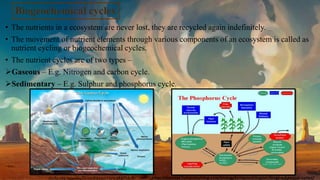• The nutrients in a ecosystem are never lost, they are recycled again indefinitely.
• The movement of nutrient elements through various components of an ecosystem is called as
nutrient cycling or biogeochemical cycles.
• The nutrient cycles are of two types –
Gaseous – E.g. Nitrogen and carbon cycle.
Sedimentary – E.g. Sulphur and phosphorus cycle.
slc4u.org/moodle20/mod/page/view.php?id=9 https://courses.lumenlearning.com/biology2xmaster/chapter/biogeochemical-cycles/
 