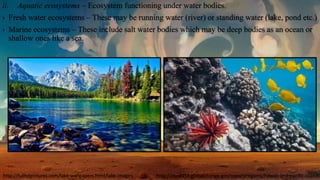 ii. Aquatic ecosystems – Ecosystem functioning under water bodies.
› Fresh water ecosystems – These may be running water (river) or standing water (lake, pond etc.)
› Marine ecosystems – These include salt water bodies which may be deep bodies as an ocean or
shallow ones like a sea.
http://nca2014.globalchange.gov/report/regions/hawaii-and-pacific-islandshttp://fullhdpictures.com/lake-wallpapers.html/lake-images
 