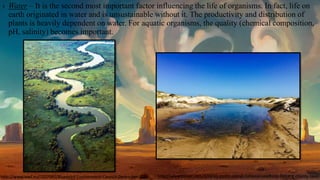› Water – It is the second most important factor influencing the life of organisms. In fact, life on
earth originated in water and is unsustainable without it. The productivity and distribution of
plants is heavily dependent on water. For aquatic organisms, the quality (chemical composition,
pH, salinity) becomes important.
http://www.wwf.eu/?207085/Blueprint-Environment-Council-December-2012 http://www.trover.com/d/iNQG-padre-island-national-seashore-kleberg-county-texas
 