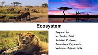 Ecosystem
Prepared by ,
Mr. Snehal Patel
Assistant Professor,
Sumandeep Vidyapeeth,
Vadodara, Gujarat, India.
 