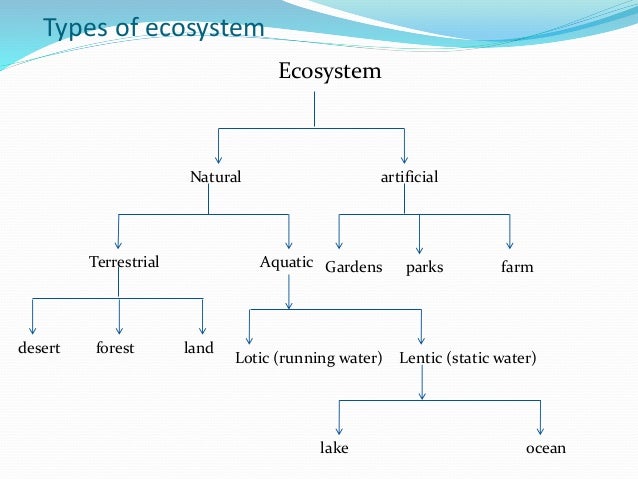 Types Of Ecosystem Flowchart - vrogue.co
