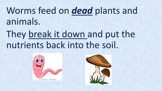 Worms feed on dead plants and
animals.
They break it down and put the
nutrients back into the soil.