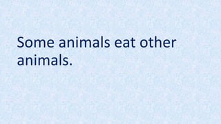 Some animals eat other
animals.