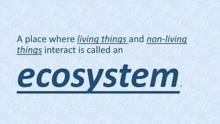 A place where living things and non-living
things interact is called an
ecosystem.