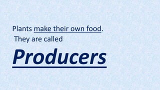 Plants make their own food.
They are called
Producers