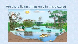 Are there living things only in this picture?
 