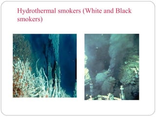 Hydrothermal smokers (White and Black
smokers)
 