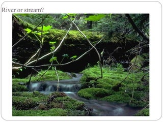River or stream?
 