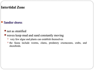 Intertidal ZoneIntertidal Zone
Sandier shoresSandier shores
not as stratifiednot as stratified
waves keep mud and sand constantly movingwaves keep mud and sand constantly moving
 very few algae and plants can establish themselvesvery few algae and plants can establish themselves
the fauna include worms, clams, predatory crustaceans, crabs, andthe fauna include worms, clams, predatory crustaceans, crabs, and
shorebirds.shorebirds.
 
