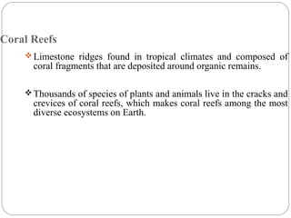 Coral Reefs
Limestone ridges found in tropical climates and composed of
coral fragments that are deposited around organic remains.
Thousands of species of plants and animals live in the cracks and
crevices of coral reefs, which makes coral reefs among the most
diverse ecosystems on Earth.
 