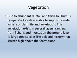Vegetation
• Due to abundant rainfall and thick soil humus,
temperate forests are able to support a wide
variety of plant life and vegetation. This
vegetation exists in several layers, ranging
from lichens and mosses on the ground layer
to large tree species like oak and hickory that
stretch high above the forest floor.
 