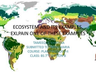 ECOSYSTEM AND ITS EXAMPLES,
EXLPAIN ONE OF THESE EXAMPLES
TAMEEQUE KHATANA
SUBMITTED TO: MAM MARIA
COURSE: PLANT ECOLOGY-II
CLASS: BS 7TH SECTION B
 