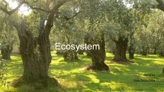 Ecosystem
Done by
Yash Srivastava
 