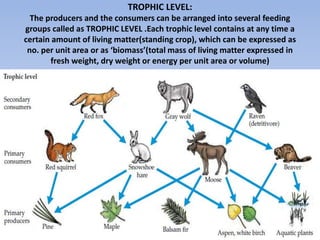 TROPHIC LEVEL:
The producers and the consumers can be arranged into several feeding
groups called as TROPHIC LEVEL .Each trophic level contains at any time a
certain amount of living matter(standing crop), which can be expressed as
no. per unit area or as ‘biomass’(total mass of living matter expressed in
fresh weight, dry weight or energy per unit area or volume)
 
