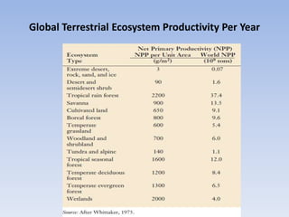 Global Terrestrial Ecosystem Productivity Per Year
 